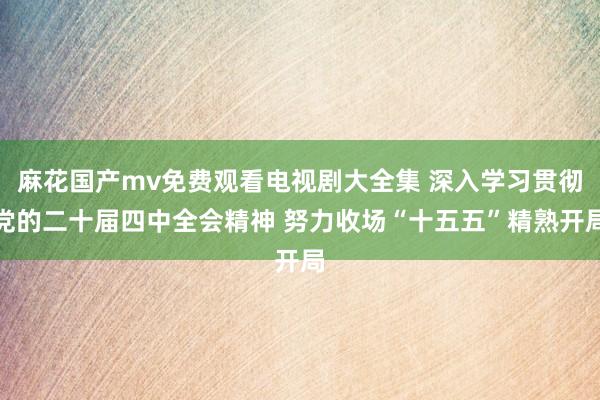 麻花国产mv免费观看电视剧大全集 深入学习贯彻党的二十届四中全会精神 努力收场“十五五”精熟开局